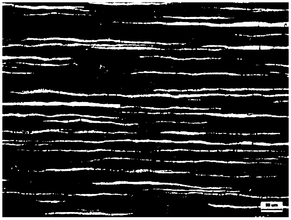 Ultrahigh-strength, ultrahigh-toughness and low-density double-phase lamellar steel plate and preparation method thereof