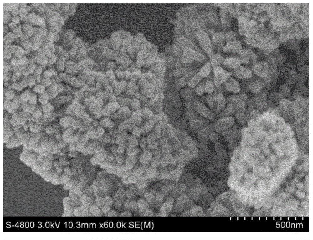 Preparation method for preparing stannic oxide nanorod cluster by using one-step hydrothermal method