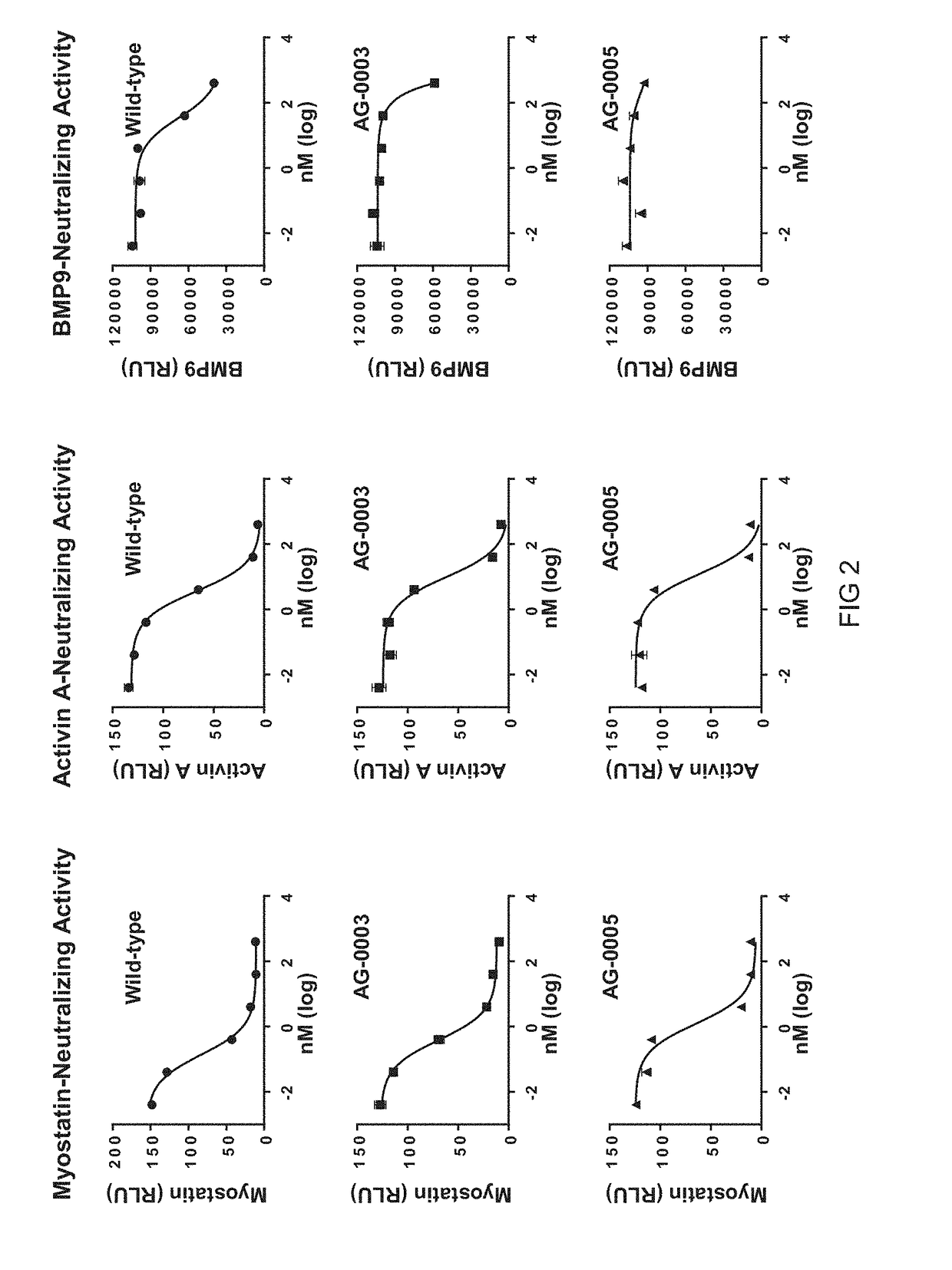 Novel Hybrid ActRIIB Ligand Trap Proteins For Treating Muscle Wasting Diseases