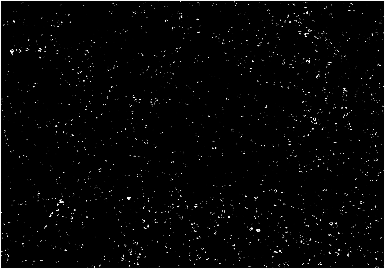 Preparation method of high-activity hollow composite photocatalyst Ag/Au/AgCl