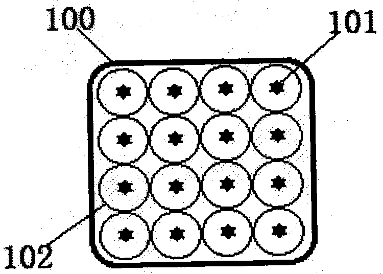 Pulse discharge ozone generation apparatus