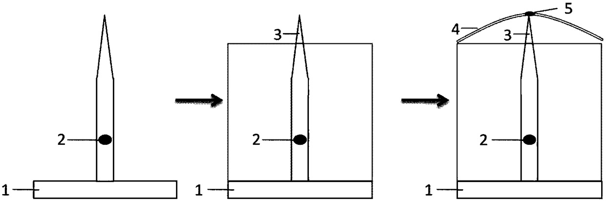 Preparation method of two-color single photon source structure, and prepared structure