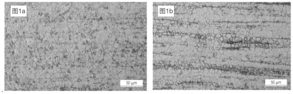 Biodegradable magnesium alloy free of rare earth elements as well as preparation method and application of biodegradable magnesium alloy