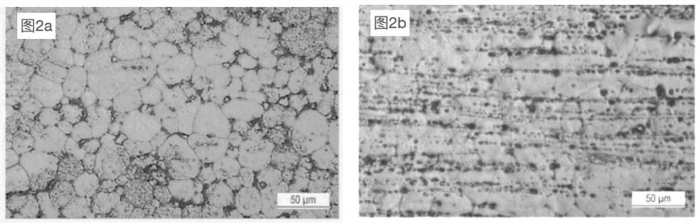 Biodegradable magnesium alloy free of rare earth elements as well as preparation method and application of biodegradable magnesium alloy