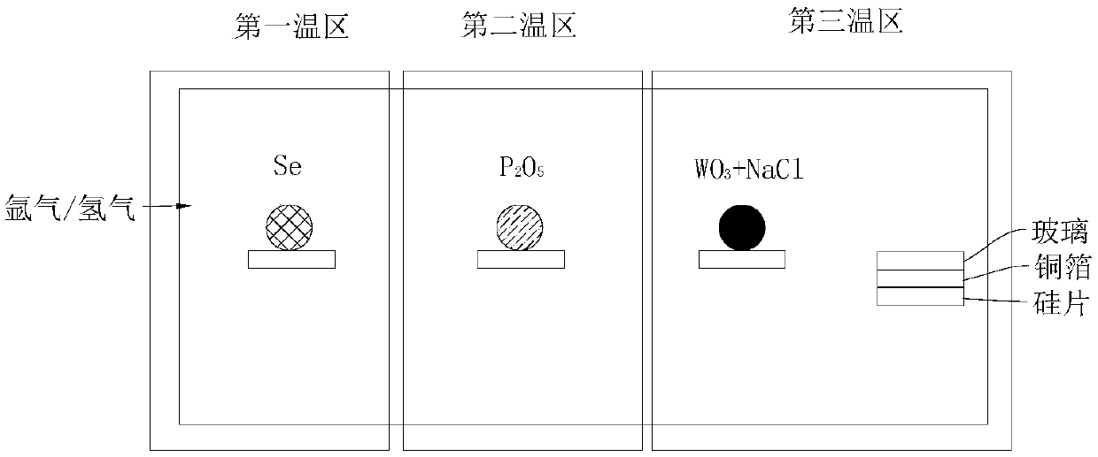 P-type phosphorus-doped two-dimensional tungsten selenide semiconductor material and preparation method thereof