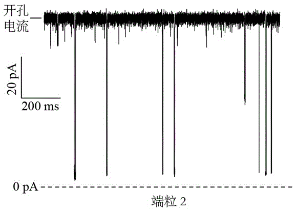 Telomere length detecting method based on biological nano channel of aerolysin