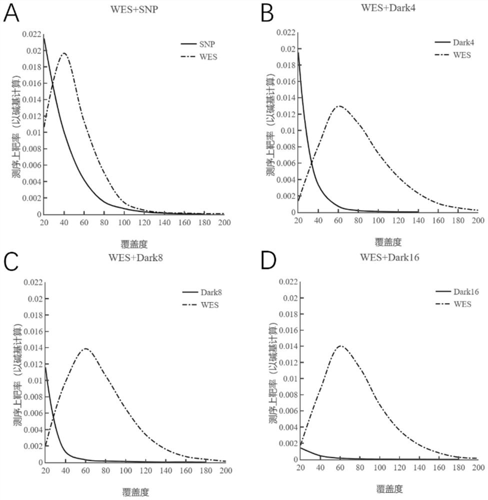 NGS targeted capture method based on dark probe technology and application of NGS targeted capture method in differential depth sequencing