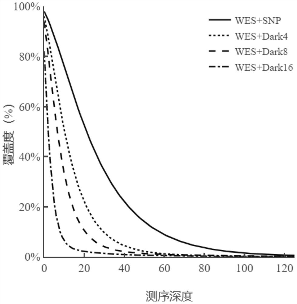 NGS targeted capture method based on dark probe technology and application of NGS targeted capture method in differential depth sequencing