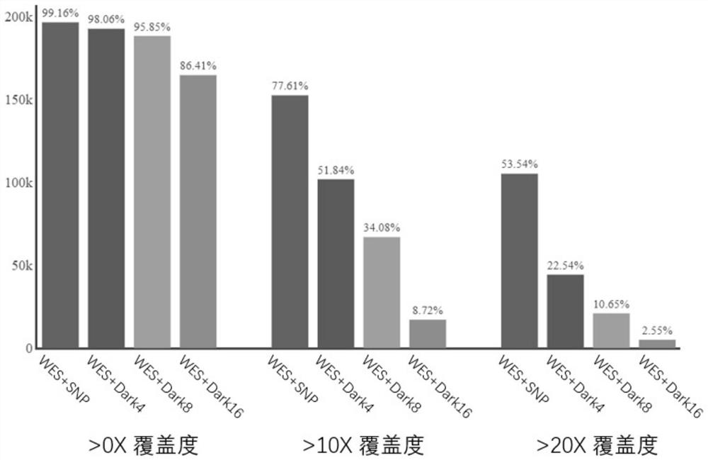 NGS targeted capture method based on dark probe technology and application of NGS targeted capture method in differential depth sequencing