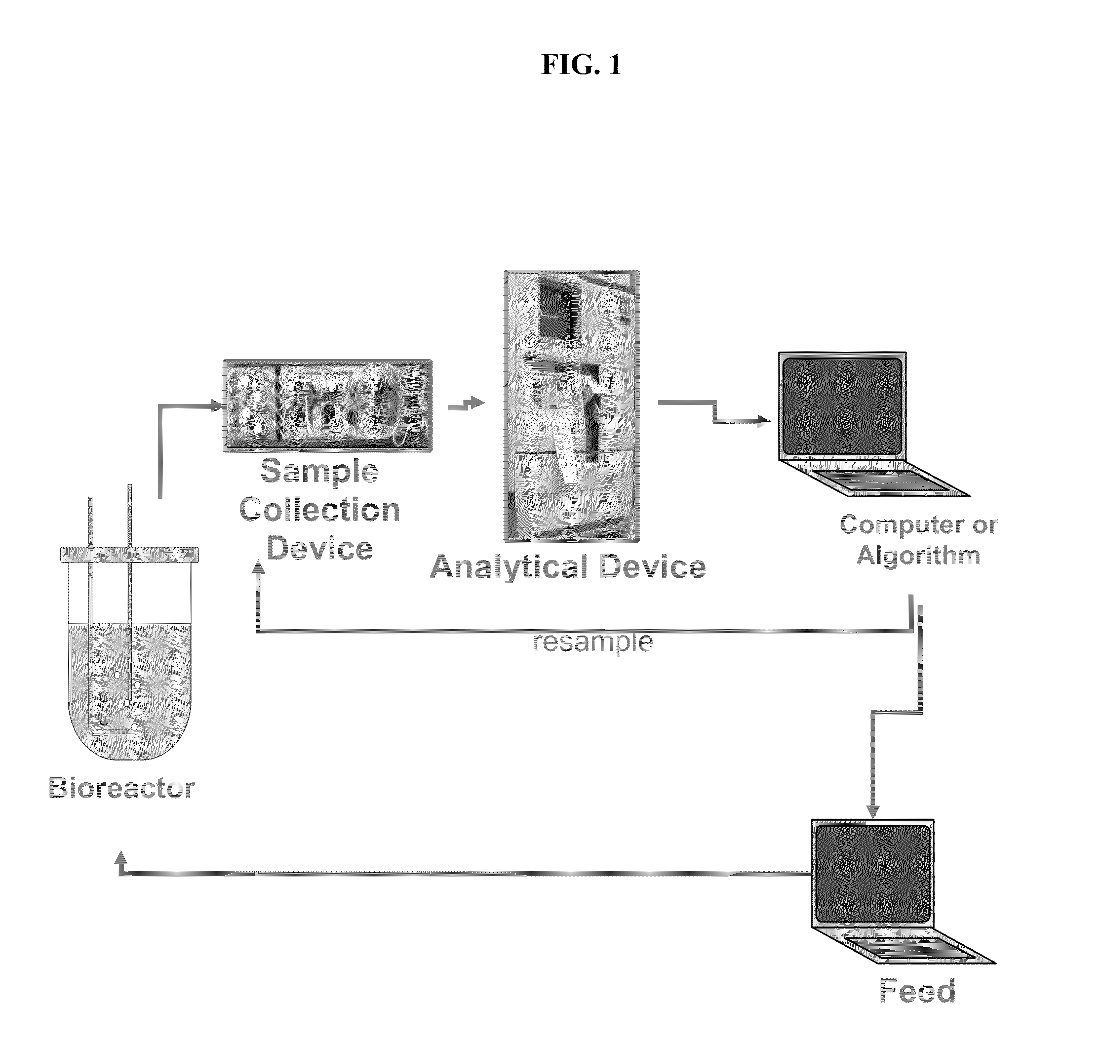 Nutrient Monitoring and Feedback Control for Increased Bioproduct Production