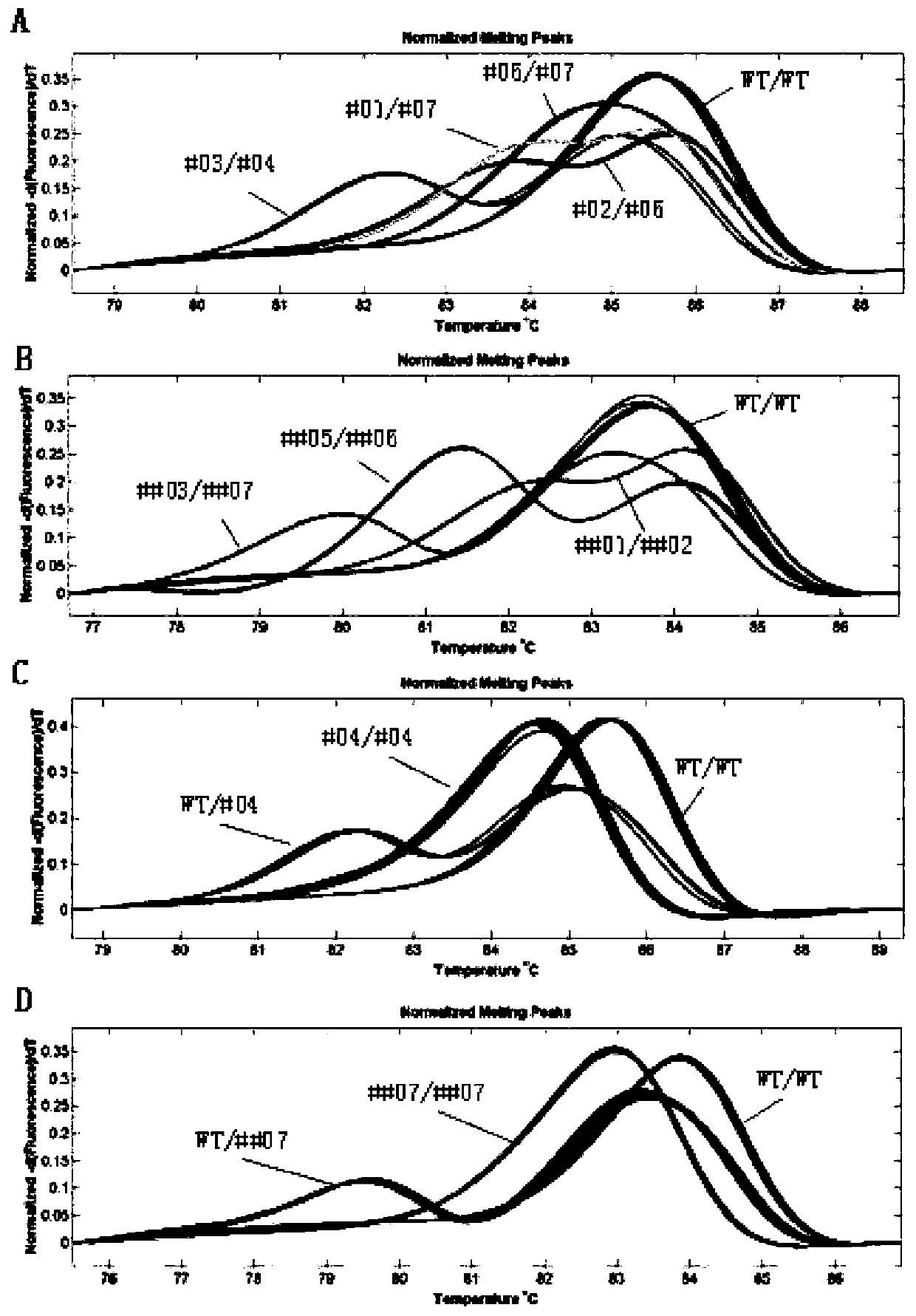 Method for performing site-directed mutation on rice TDR gene by CRISPR\Cas9 system and detection method