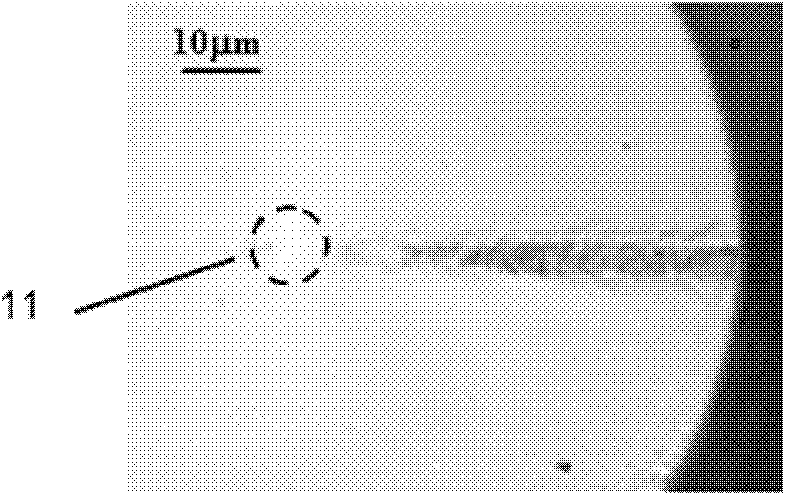 Method for preparing micropore array fiber bragg grating