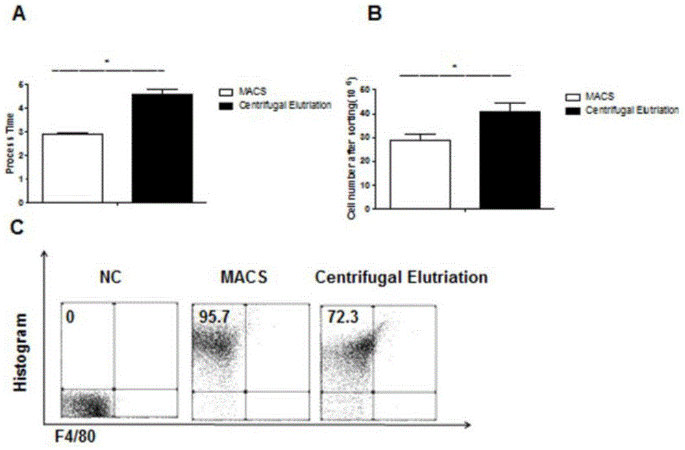 Method for separating out and purifying Kupffer cells in livers