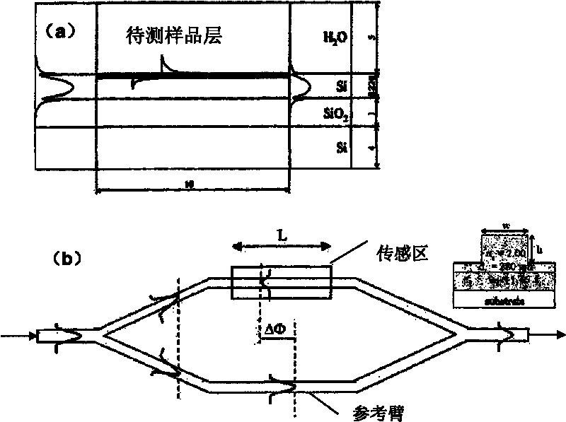 Light micro-flow biosensor in inner cavity of semiconductor laser