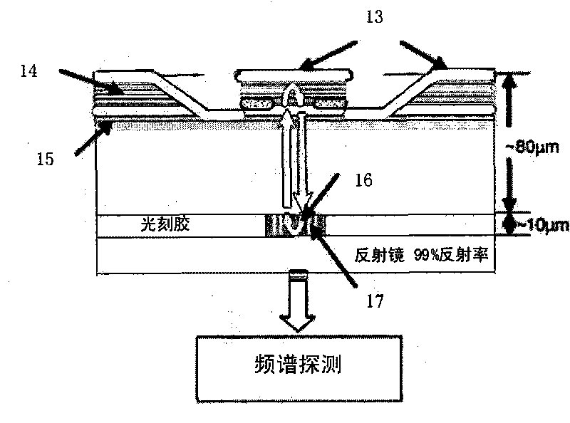 Light micro-flow biosensor in inner cavity of semiconductor laser