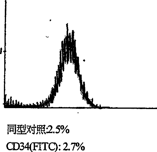 Method for amplifying in vitro mesenchymal stem cells