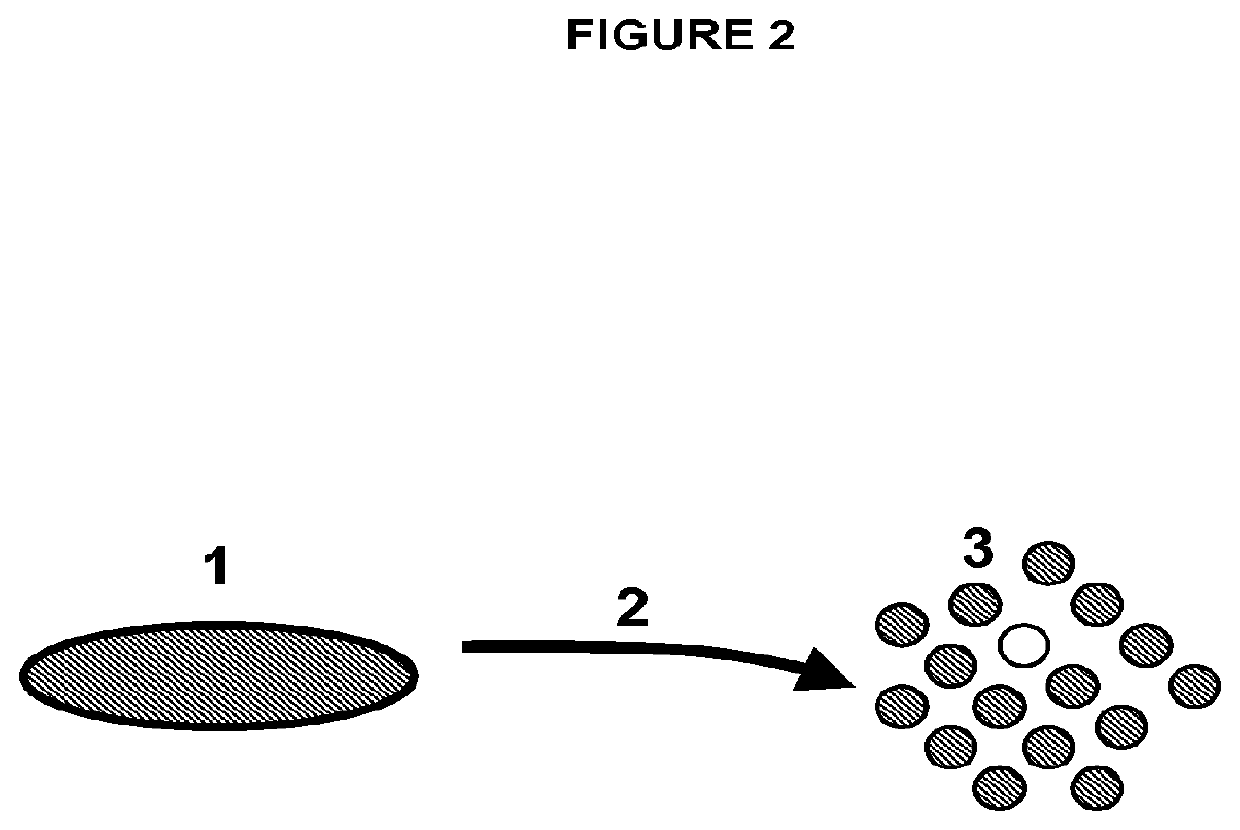 Human disc tissue