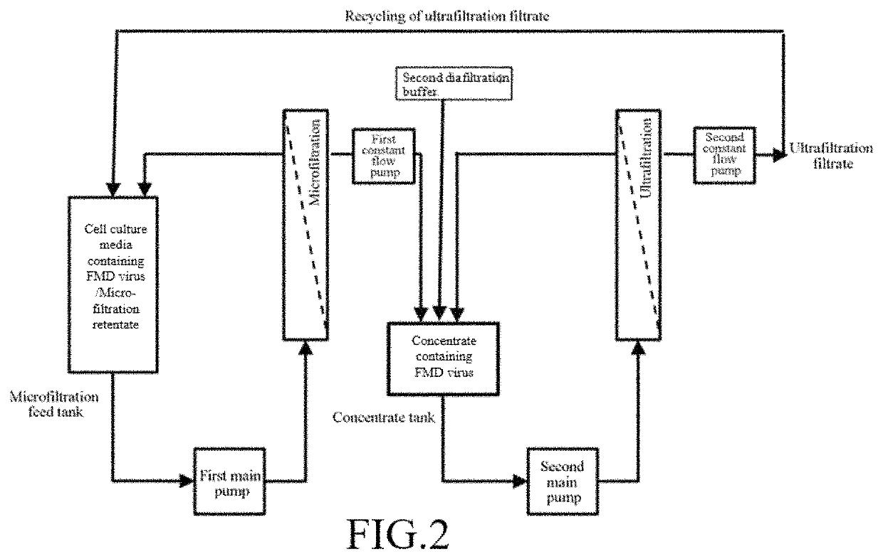 Method for preparing foot-and-mouth disease vaccines