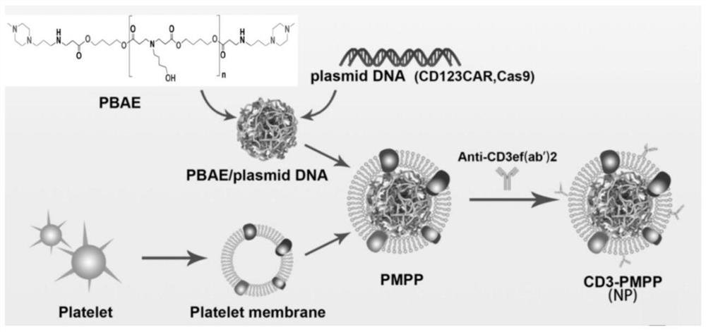 Tumor-targeted delivery system for in-vivo in-situ induction of CAR-T cells and application of tumor-targeted delivery system