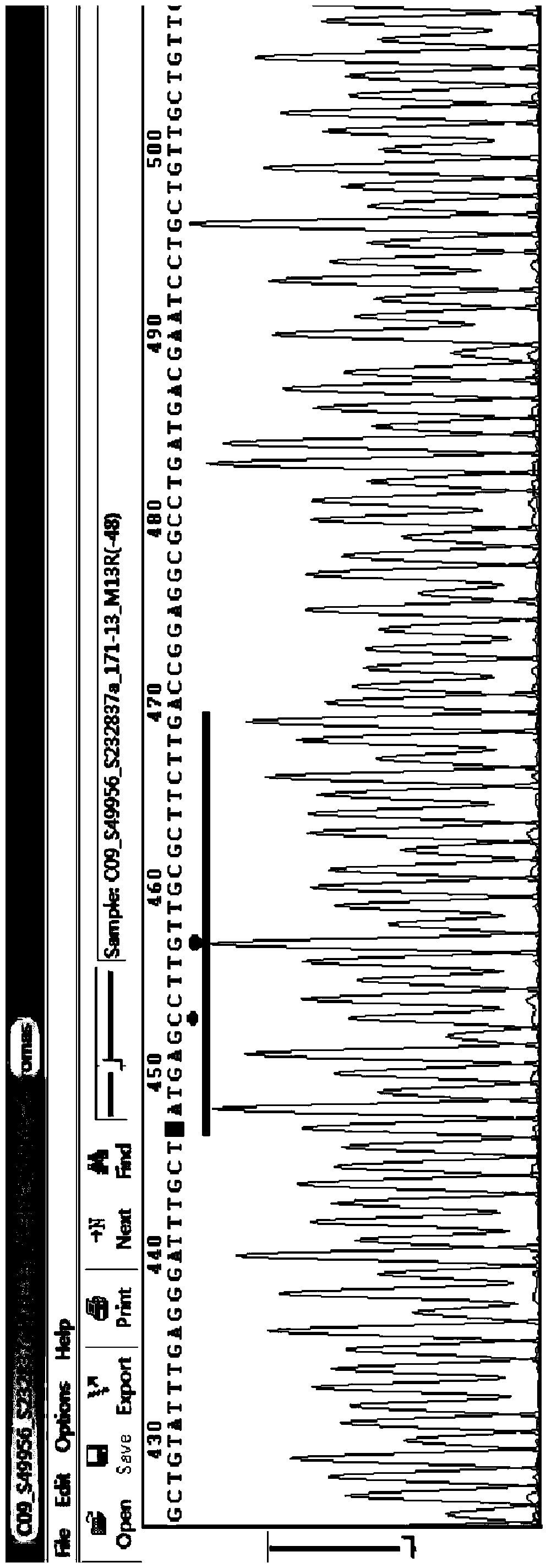 Vibrio cholera analysis typing kit