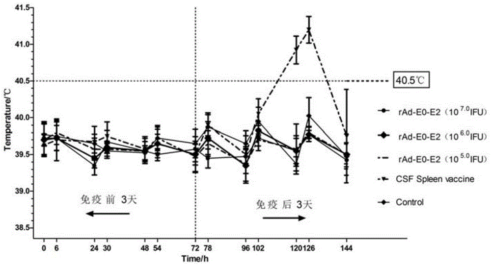 Hog cholera virus genetic recombination adenovirus carrier vaccine rabbit body effect detection method