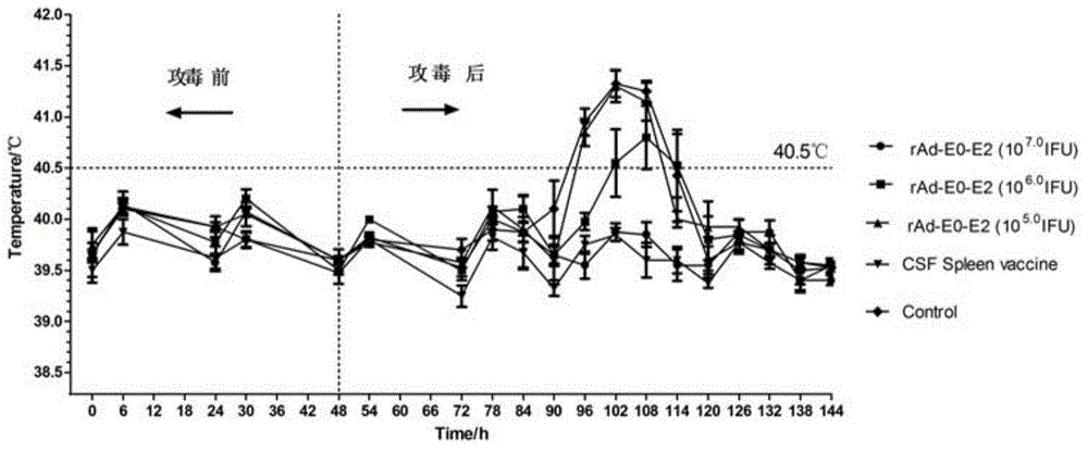 Hog cholera virus genetic recombination adenovirus carrier vaccine rabbit body effect detection method