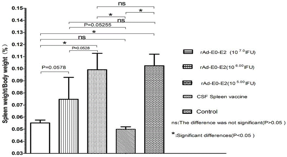 Hog cholera virus genetic recombination adenovirus carrier vaccine rabbit body effect detection method