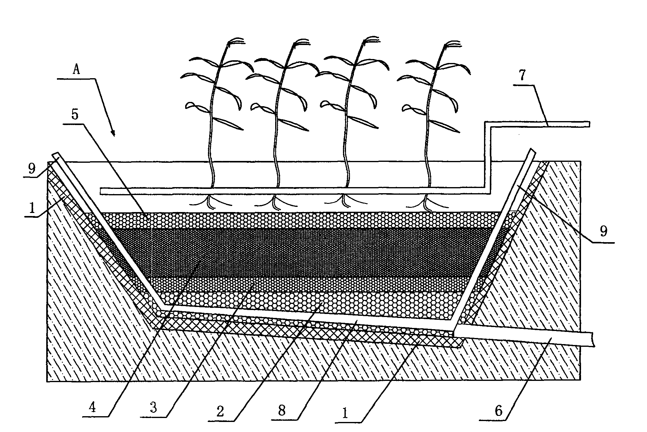 Decentralized type sewage and sludge biochemical treatment system