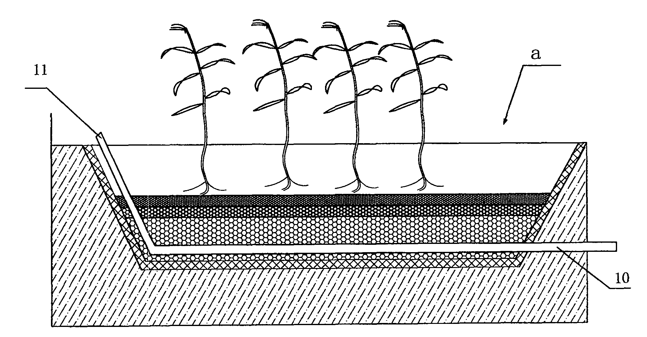 Decentralized type sewage and sludge biochemical treatment system