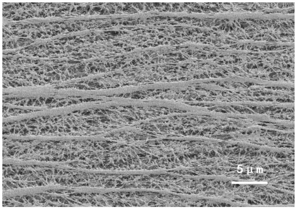 Preparation method of polytetrafluoroethylene reverse osmosis membrane with lasting and stable filtering separation performance