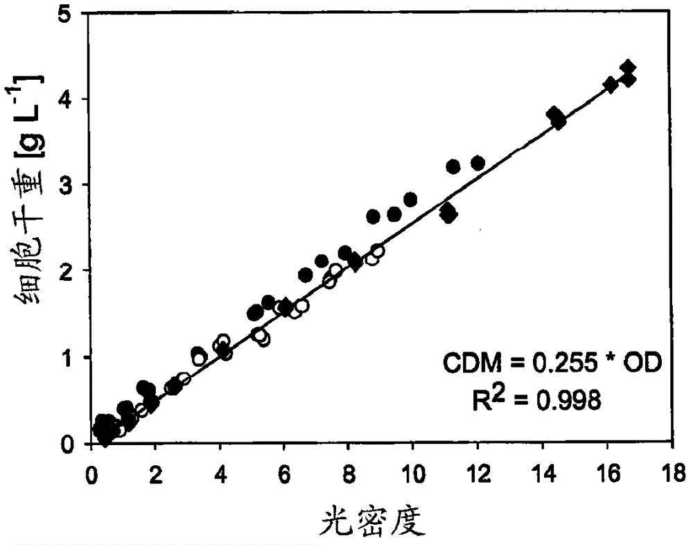 Production process for amino acids of the aspartate family using microorganisms