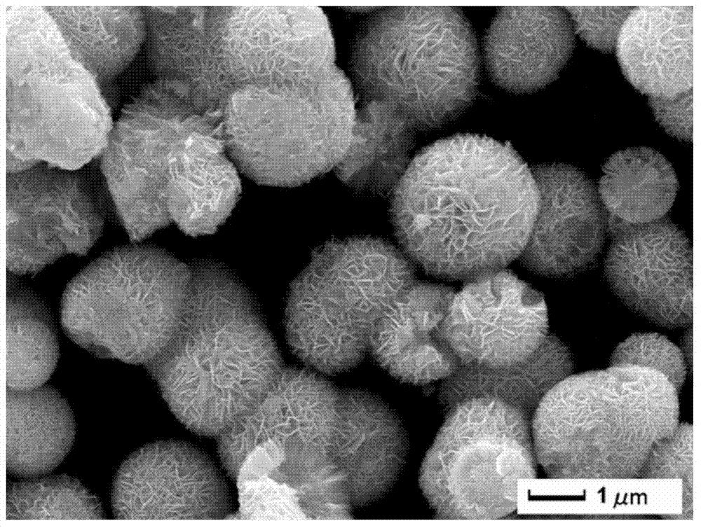 Preparation method of bismuth sulfide/bismuth molybdenum oxide heterojunction photocatalytic composite material