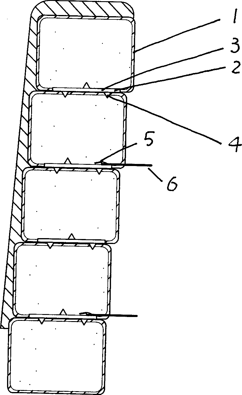 Side slope, dam bank installation