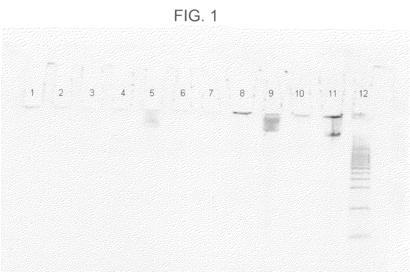 Methods of purifying a nucleic acid and formulation and kit for use in performing such methods