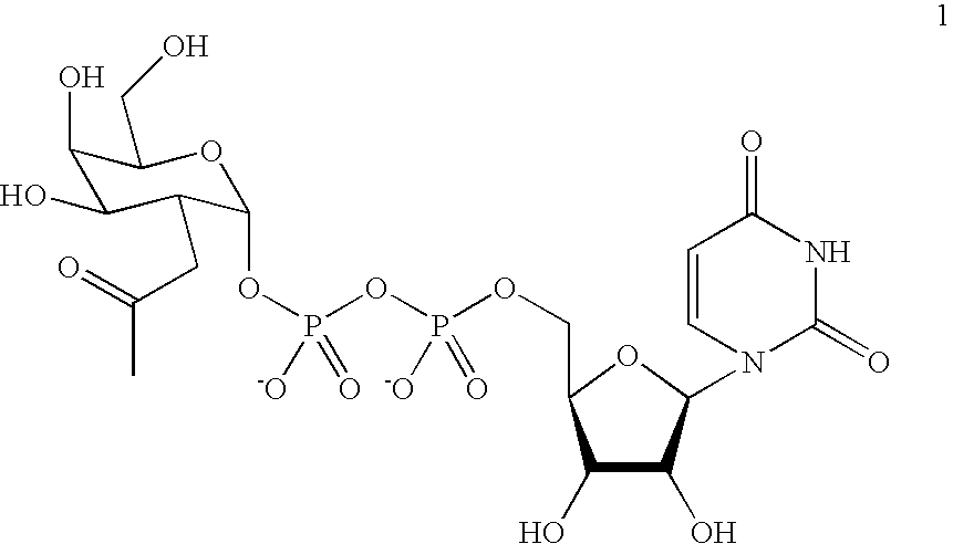 Method and compositions for the detection of protein glycosylation