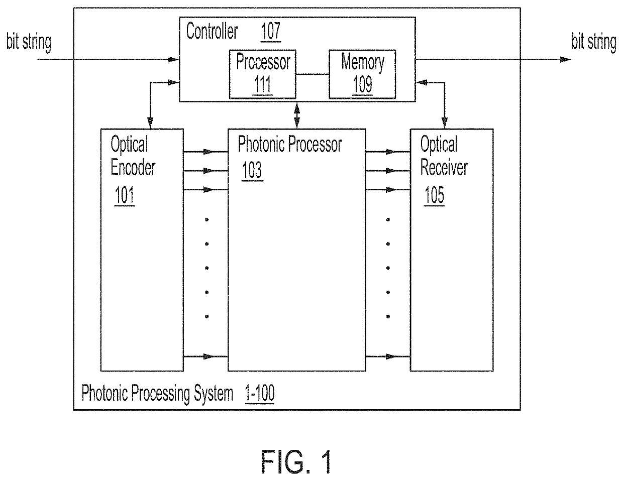 Path-number-balanced universal photonic network