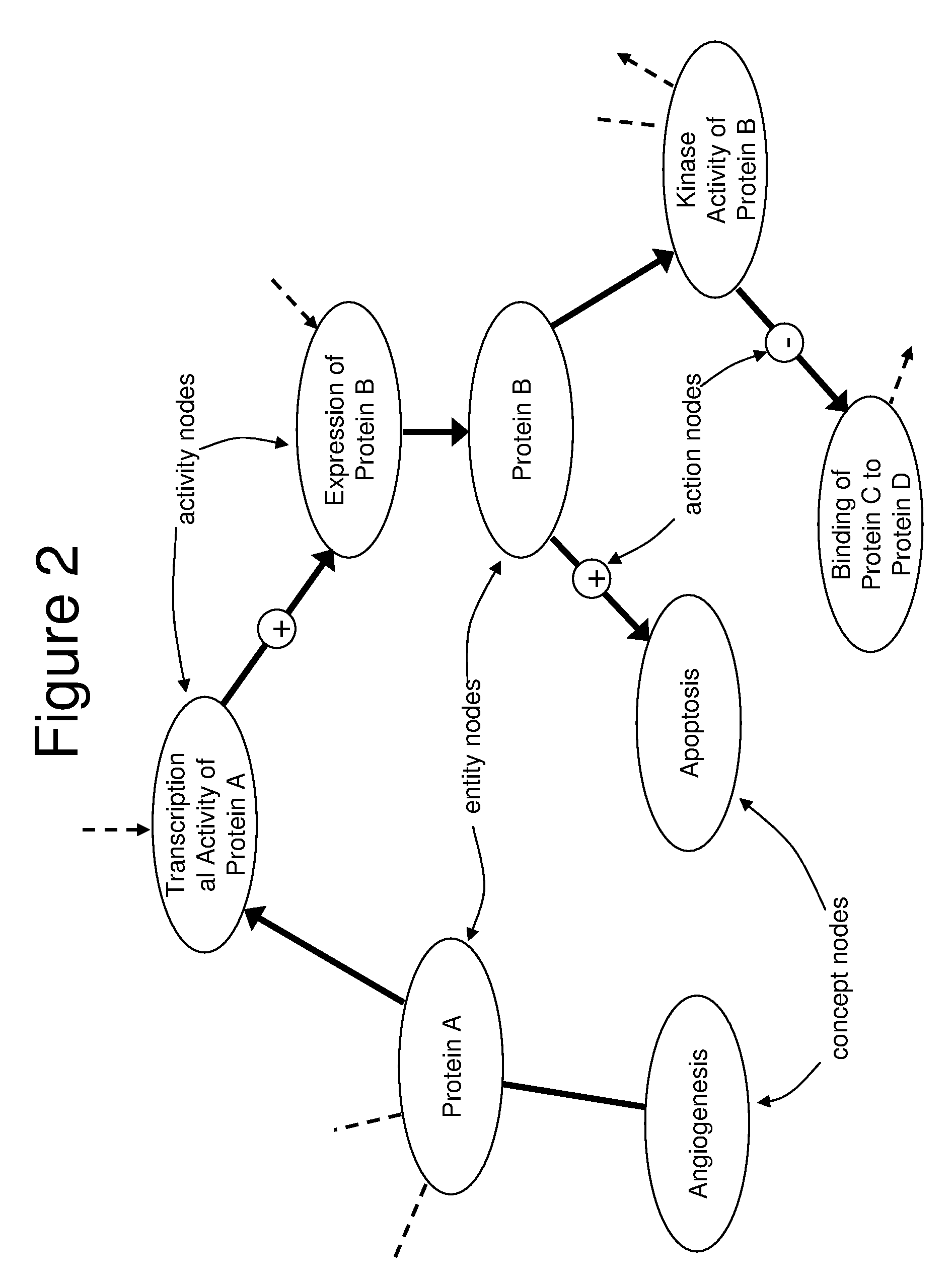 Computer-Aided Discovery of Biomarker Profiles in Complex Biological Systems