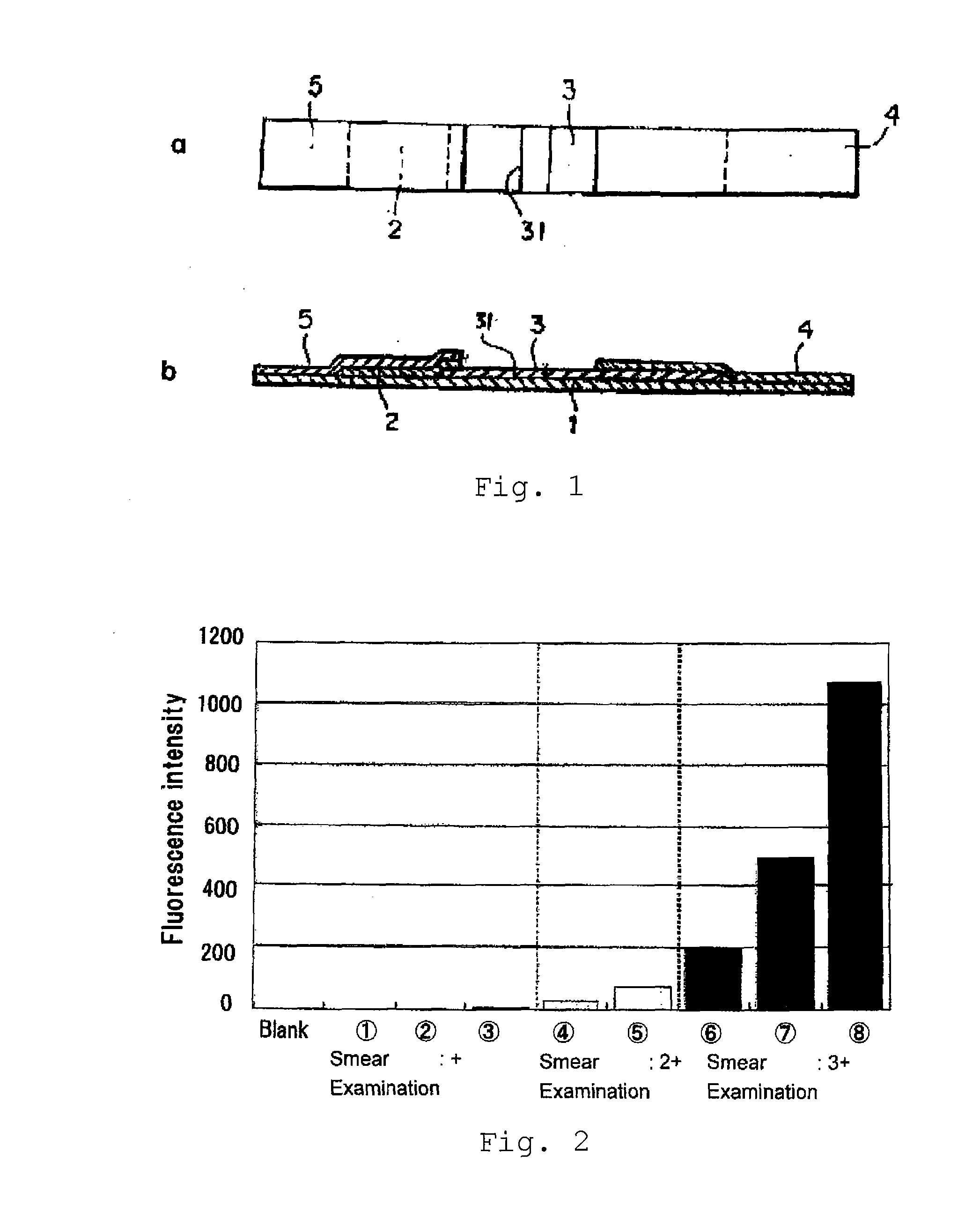 Immunodetection assay for mycobacterium tuberculosis complex