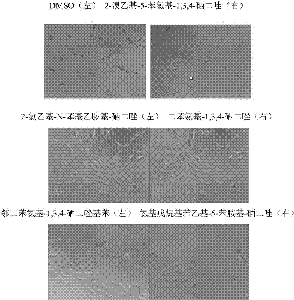 Synthesizing method for 1,3,4-selenadiazole derivative