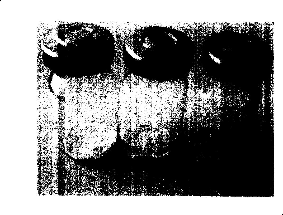 Sustained-release microsphere containing risperidone and preparation method thereof