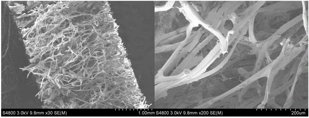 Natural fibroin protein fiber scaffold and preparation method