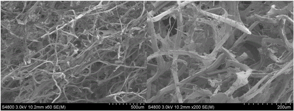 Natural fibroin protein fiber scaffold and preparation method