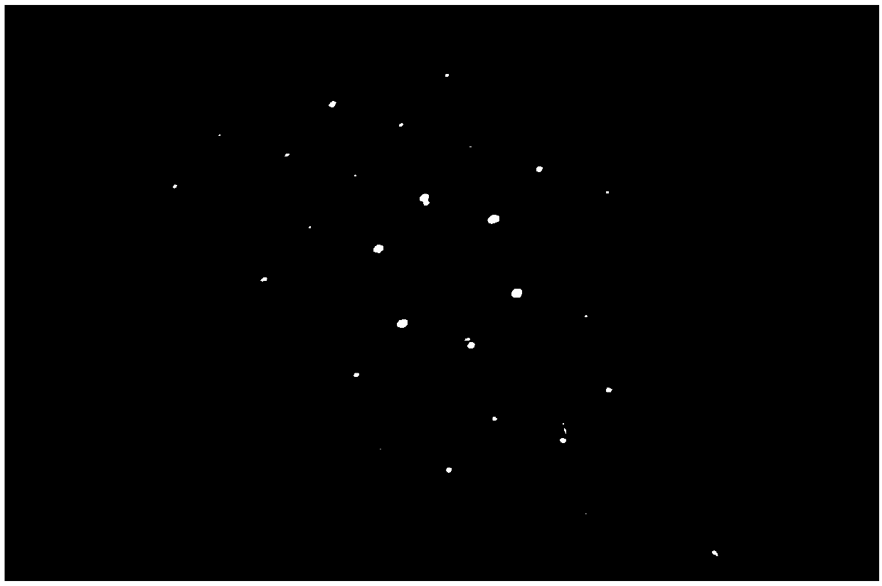 Method for preparing silicon carbide nanometer crystal whiskers from crystalline silicon cutting waste mortar