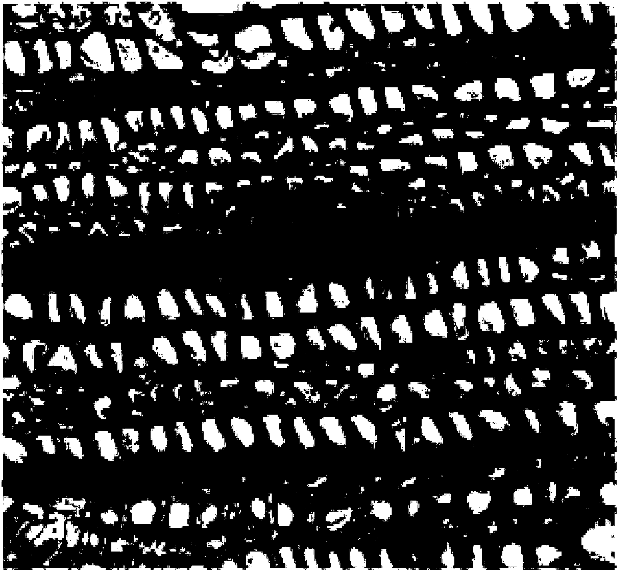 Dyeing method of for colloidal layer microsection of tension wood