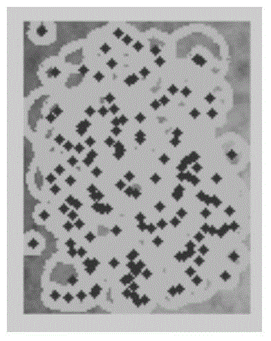 NBI gastroscope image processing method based on key point detection