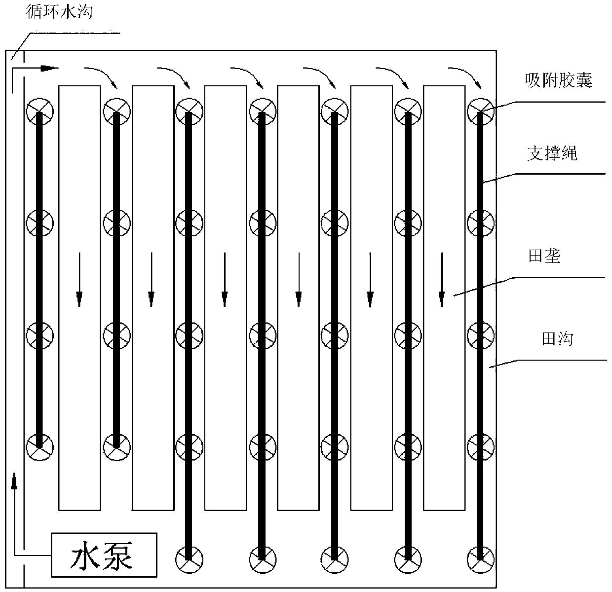 A widely suitable, efficient and non-destructive in-situ repair method for farmland polluted by heavy metals