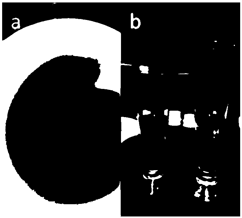 Sample rapid digestion method for detecting radionuclide