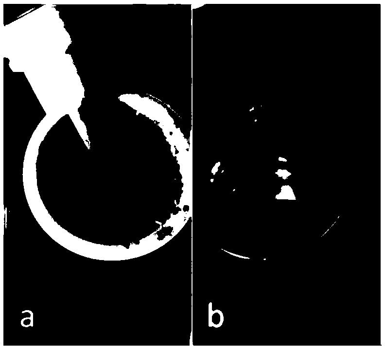 Sample rapid digestion method for detecting radionuclide