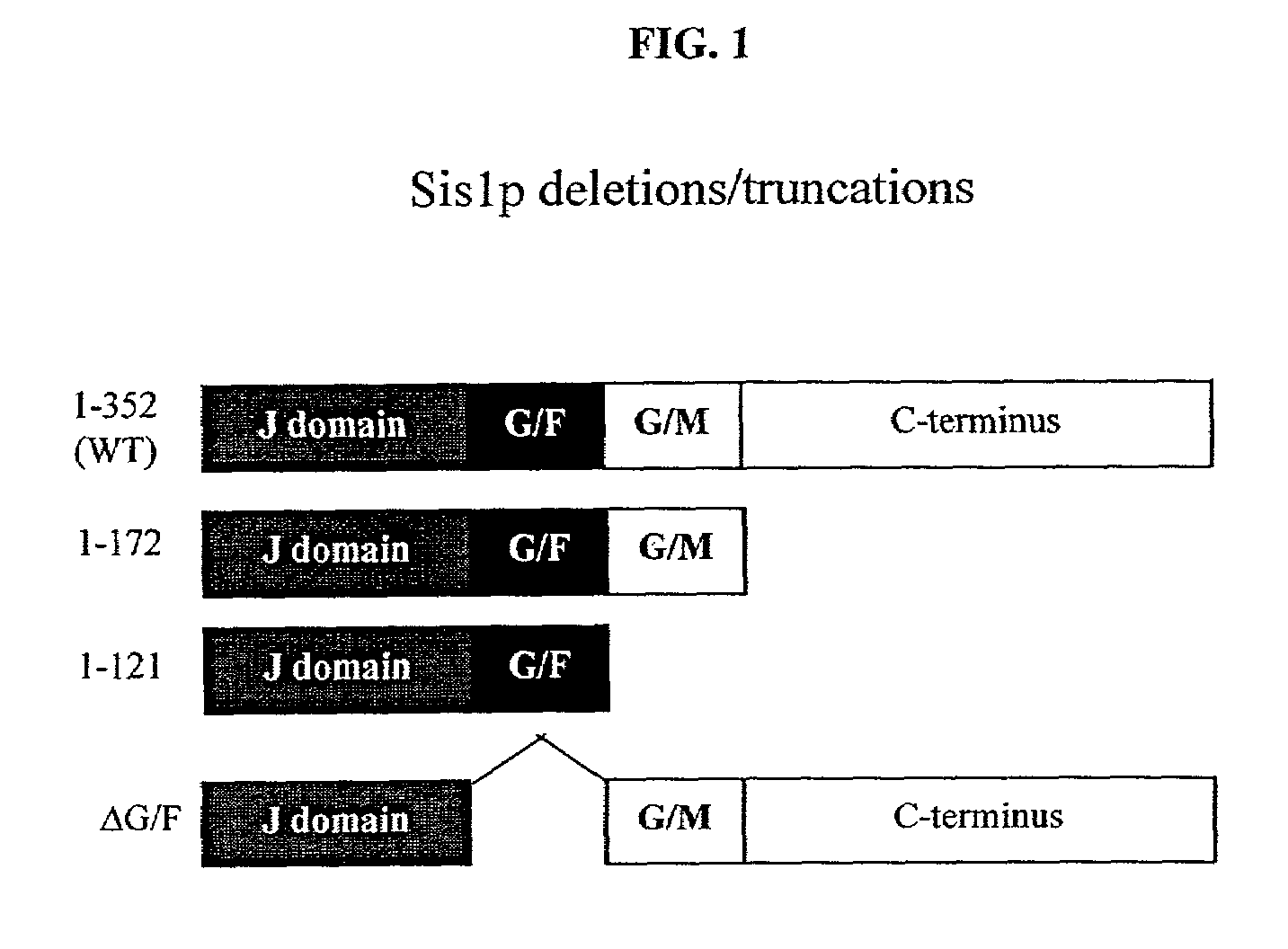 Yeast screens for treatment of human disease