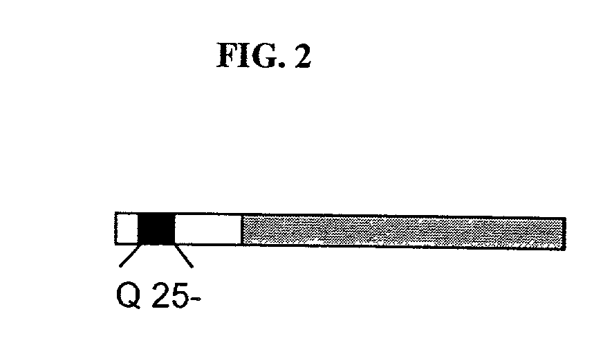 Yeast screens for treatment of human disease